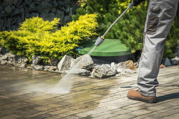 Best Patio and Deck Pressure Washing  in Dunkirk, MD