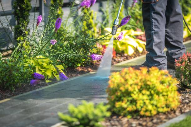 Best Dumpster Area Cleaning  in Dunkirk, MD