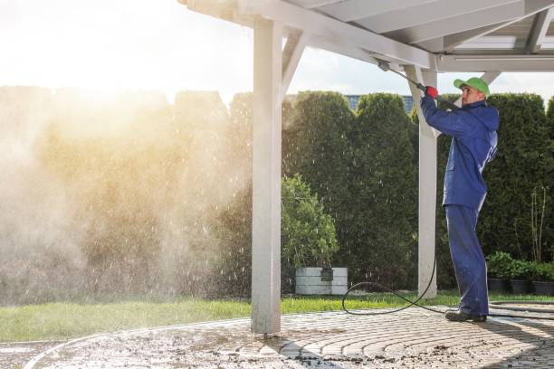 Best Roof Washing  in Dunkirk, MD